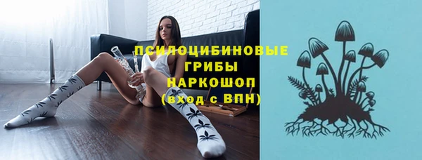 герыч Няндома