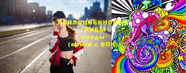 соль ск Осинники