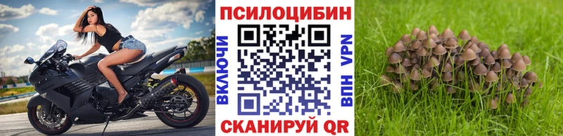 Галлюциногенные грибы Cubensis  Коркино 