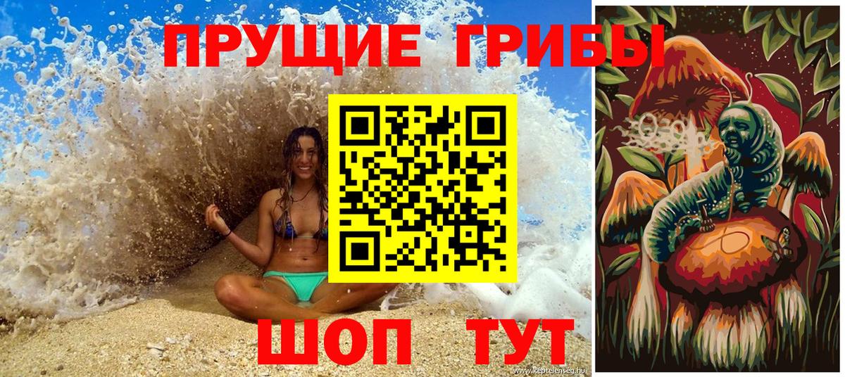 Галлюциногенные грибы Psilocybine cubensis  Коркино 