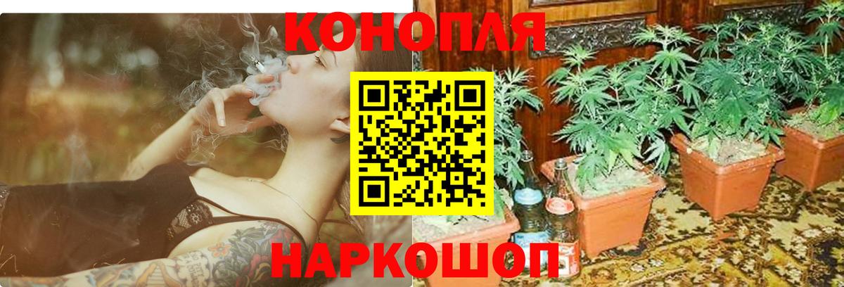 МАРИХУАНА SATIVA & INDICA  Бошки марихуана Amnesia  Коркино  Вход с VPN  Марихуана Bruce Banner 